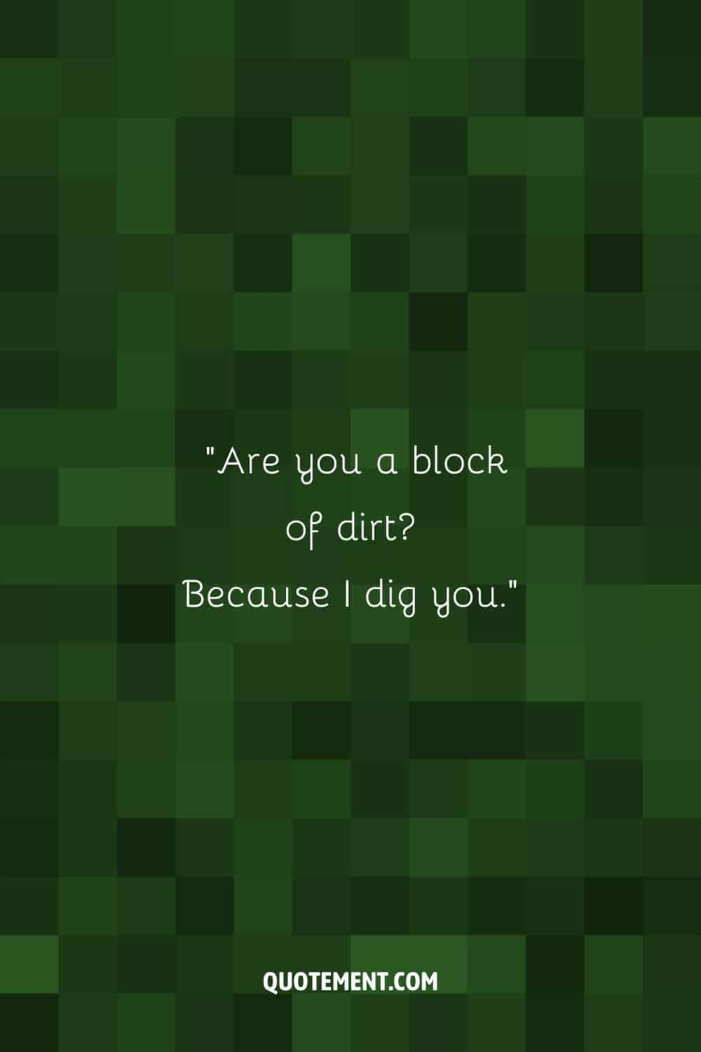 Are you a block of dirt Because I dig you.”