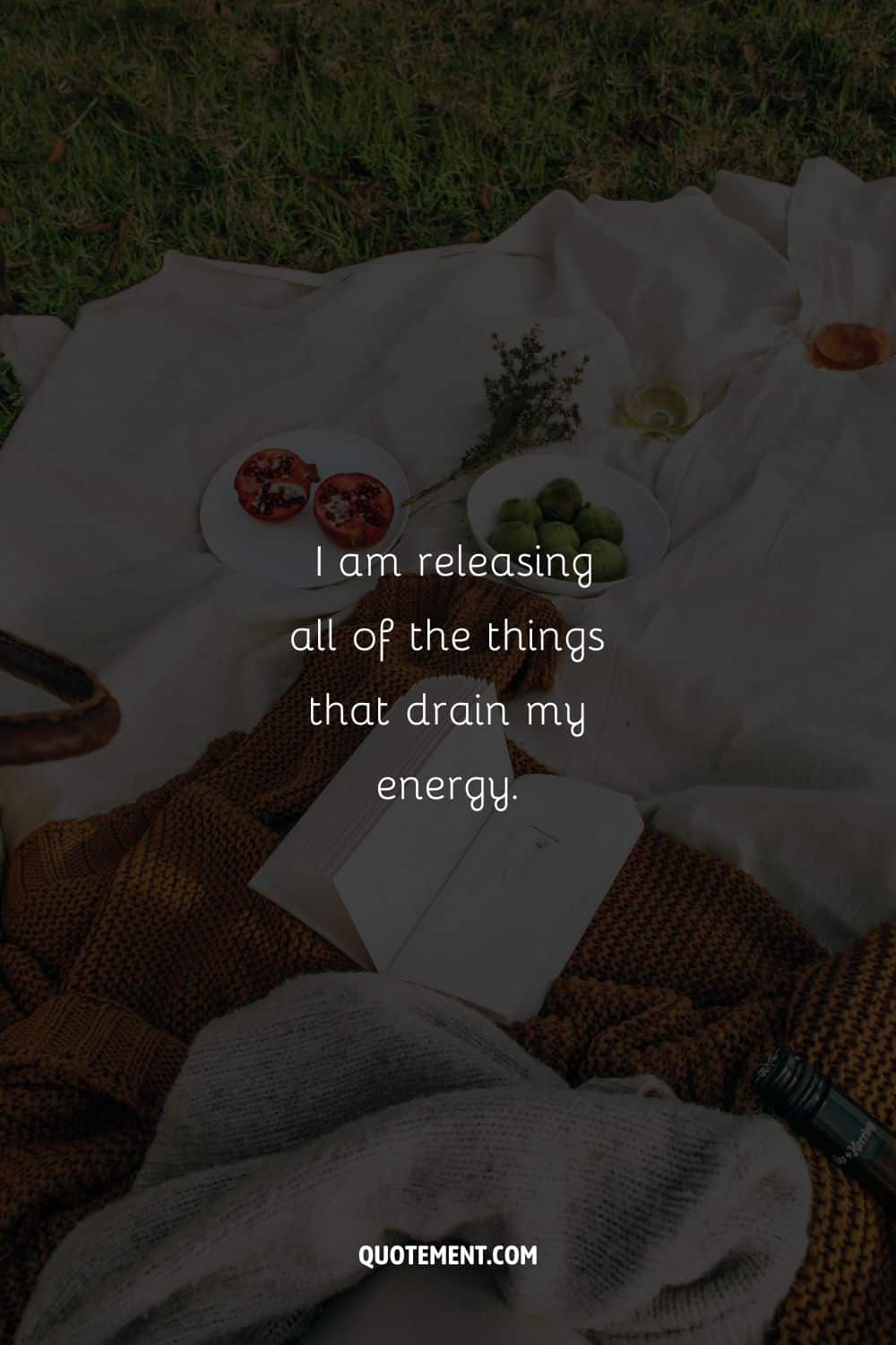 Image of a blanket, book and juicy fruits representing a relaxing affirmation