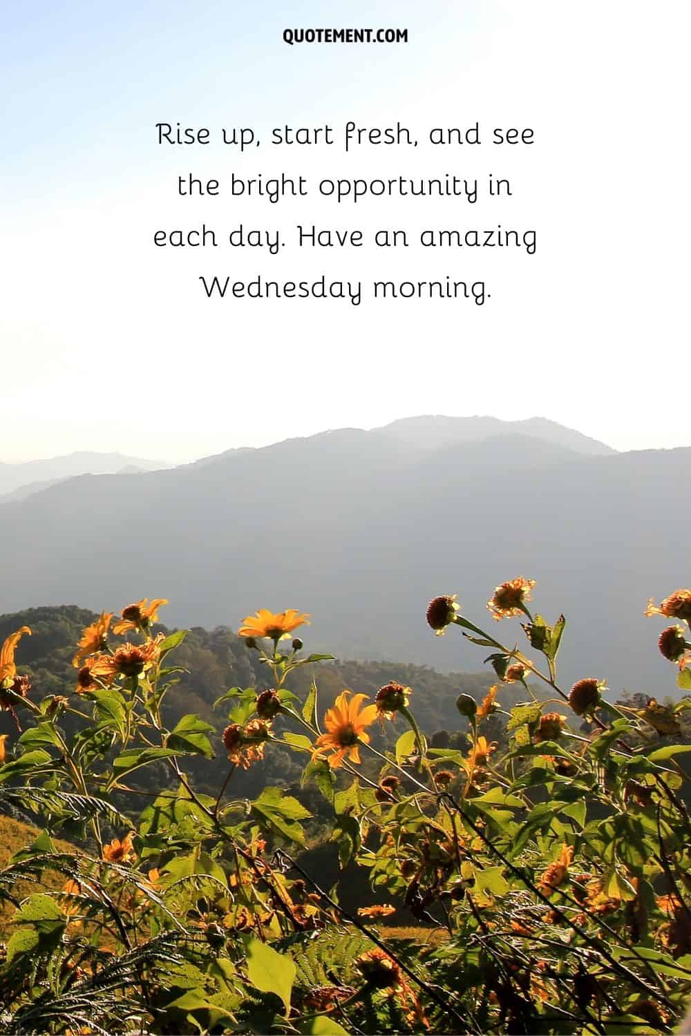 yellow flowers blooming atop a sun-kissed hill representing Wednesday morning inspirational quote