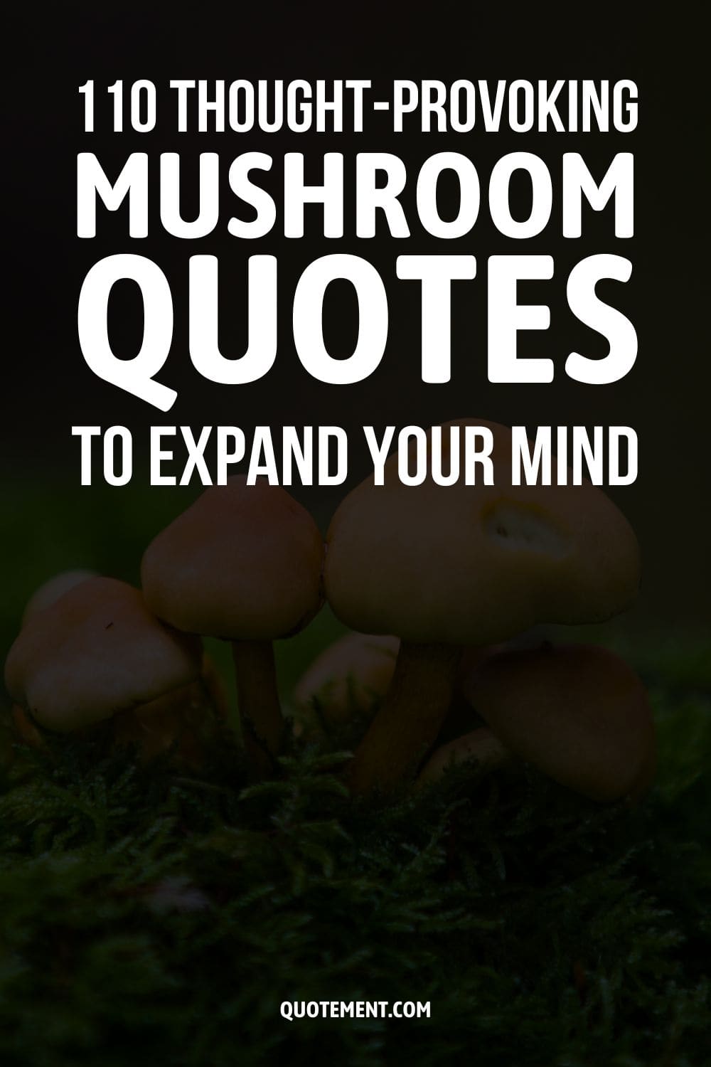 110 Thought-Provoking Mushroom Quotes To Expand Your Mind