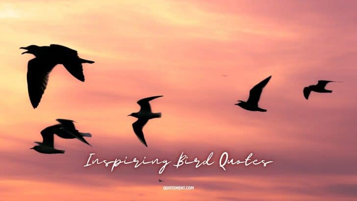 130 Inspiring Bird Quotes To Embrace The Wings Of Wisdom