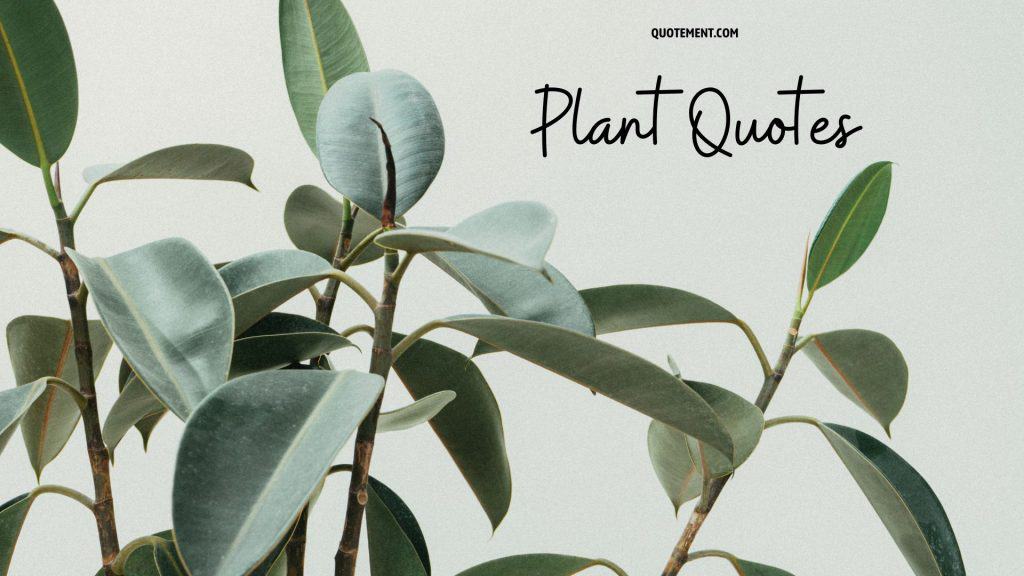 130 Inspiring Plant Quotes Celebrating The Beauty Of Flora