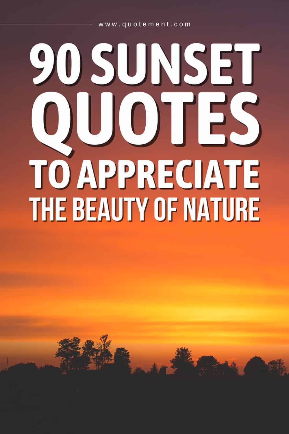 90 Sunset Quotes To Appreciate The Beauty Of Nature 