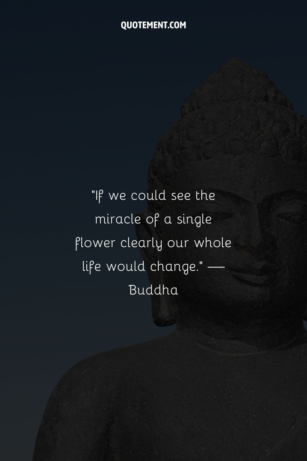 Close-up contemplative presence in Buddha's expression.