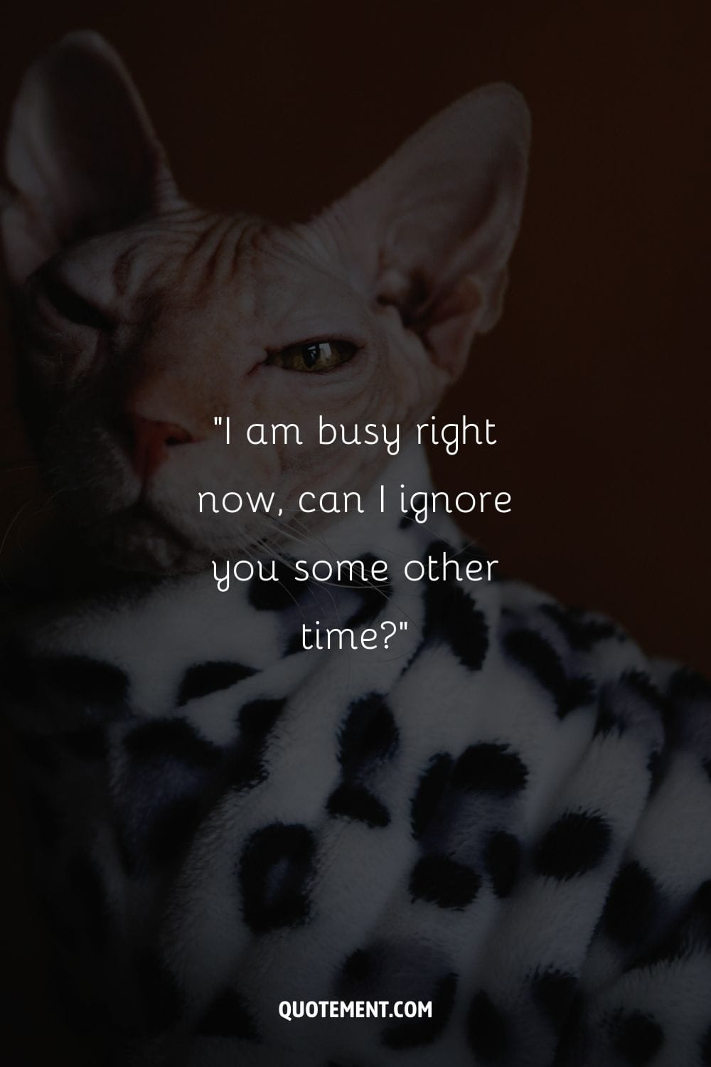 “I am busy right now, can I ignore you some other time” ― Unknown