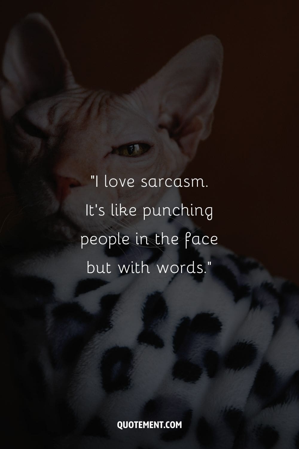 “I love sarcasm. It’s like punching people in the face but with words.” ― Unknown