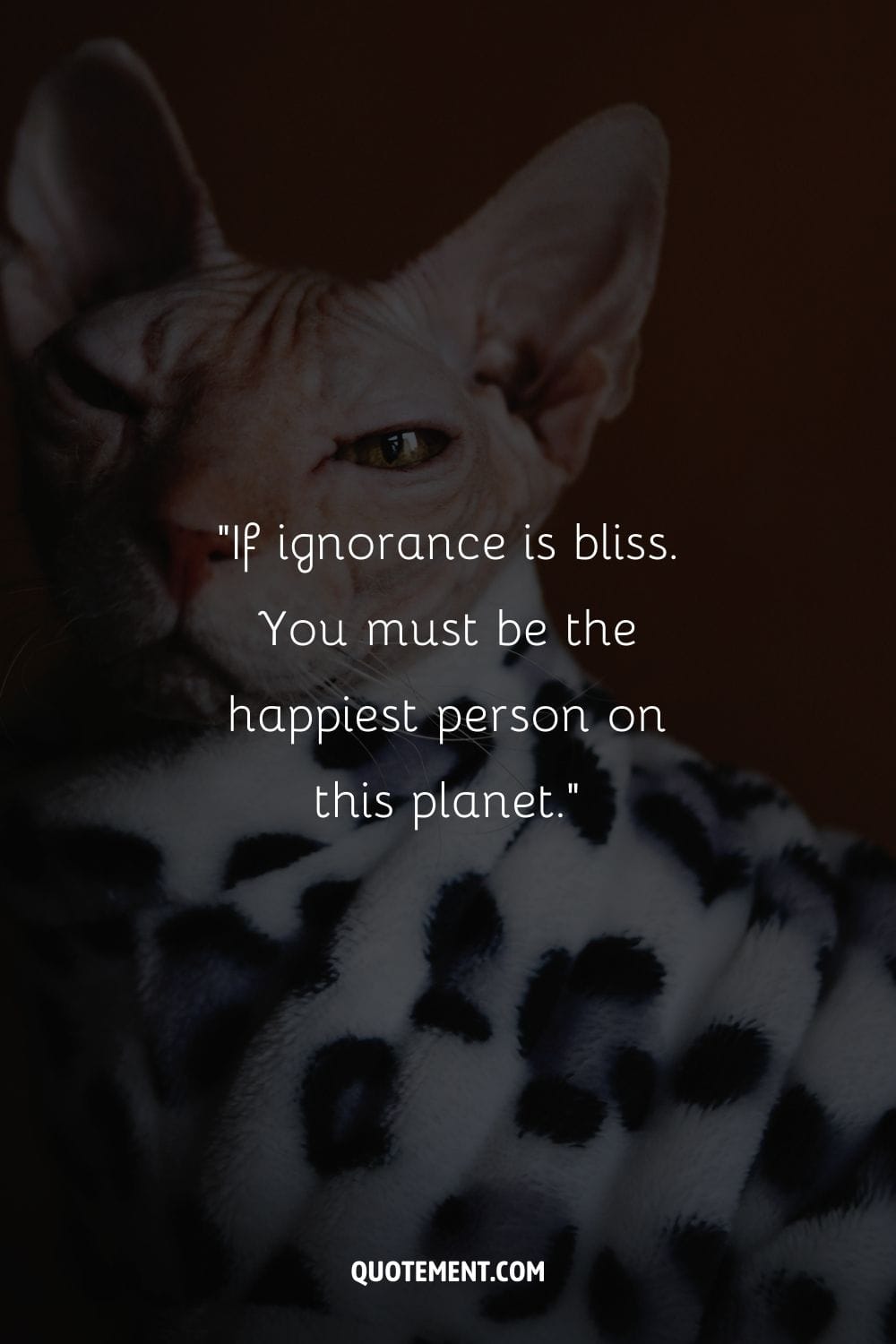 “If ignorance is bliss. You must be the happiest person on this planet.” ― Unknown