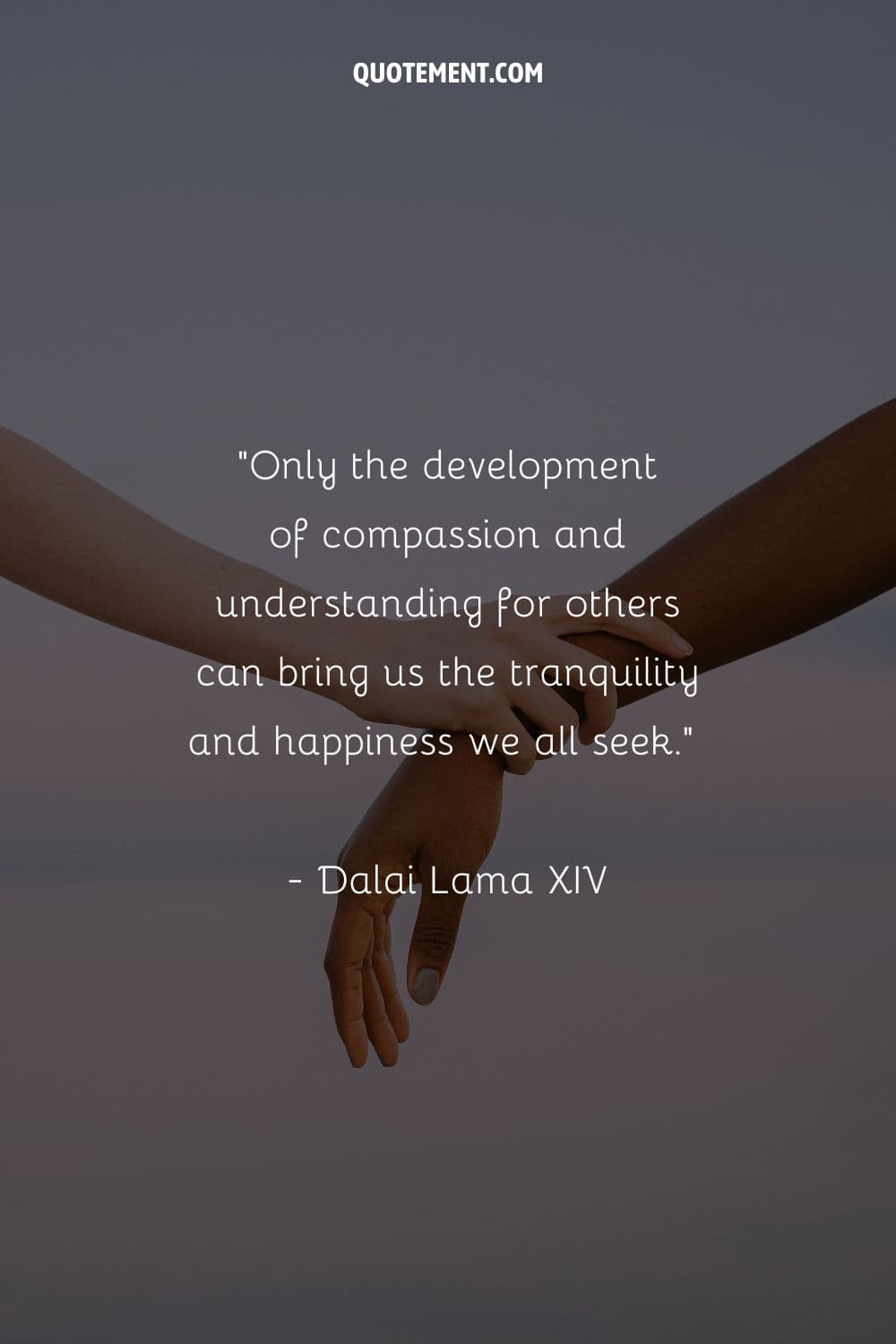 Only the development of compassion and understanding for others can bring us the tranquility and happiness we all seek.