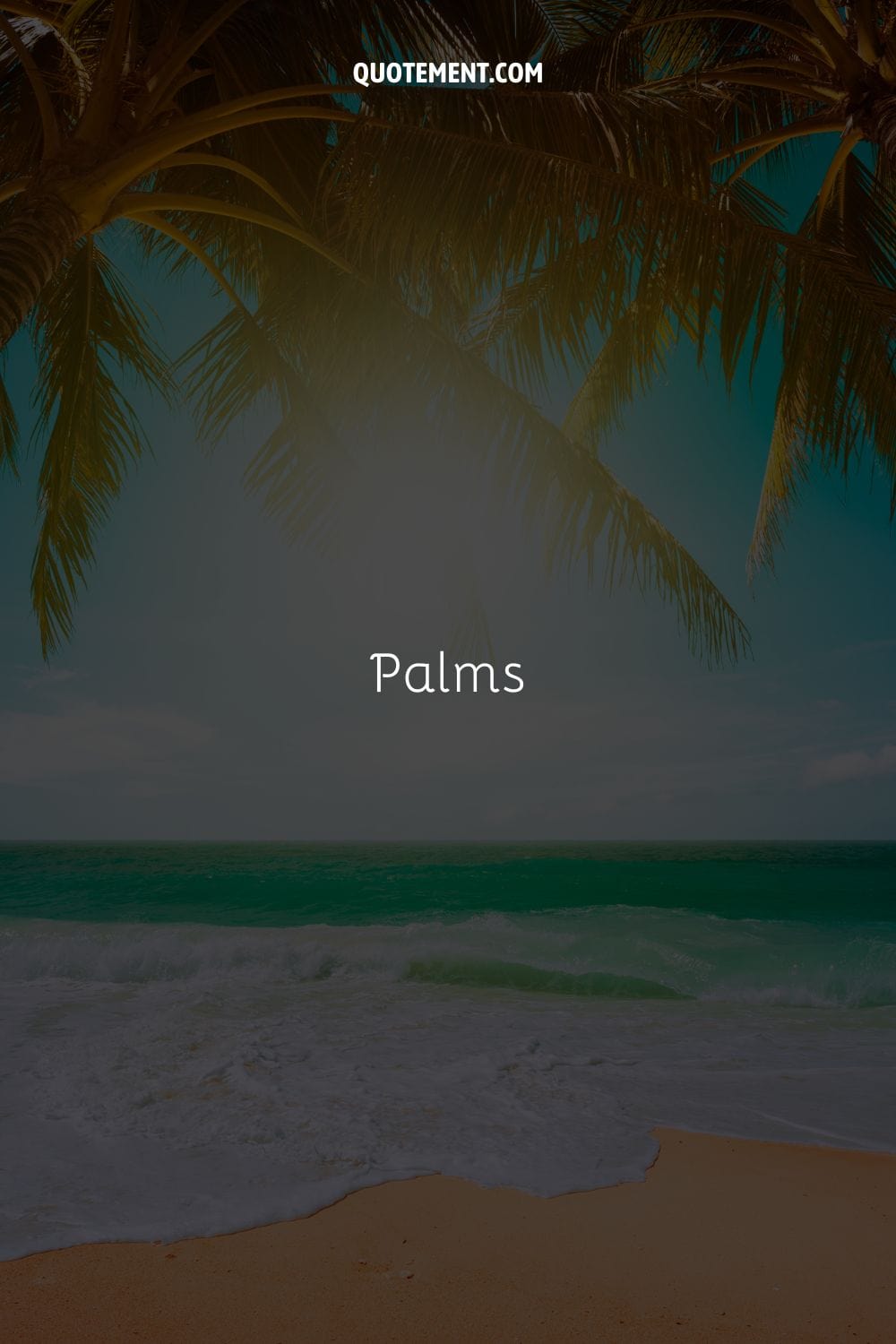 Palms