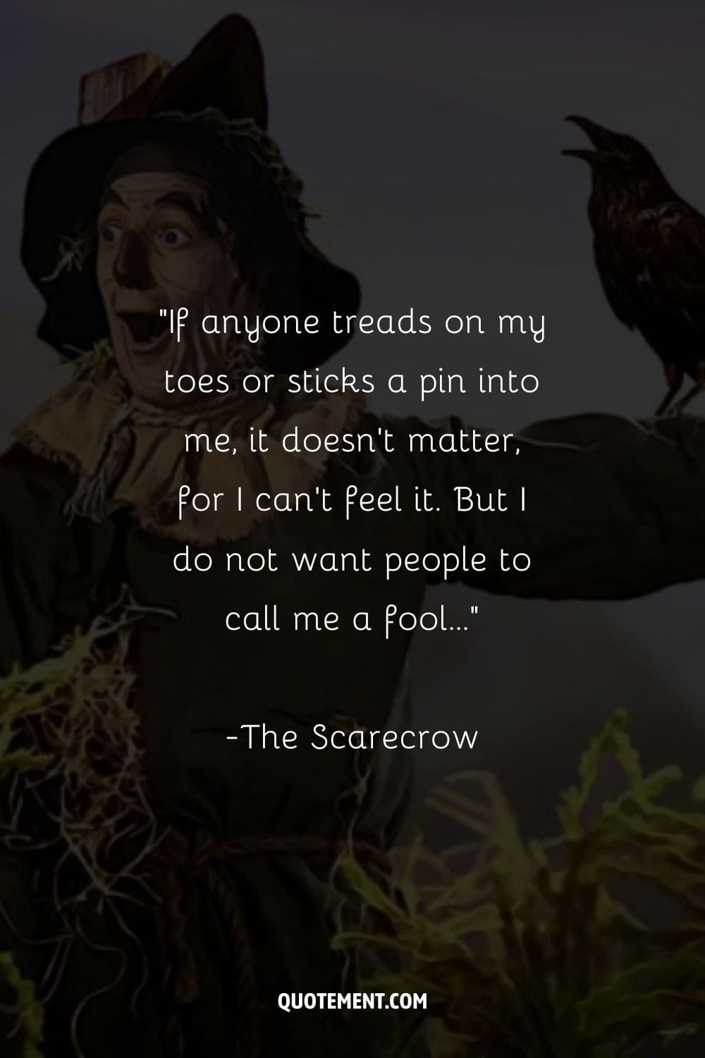 Scarecrow in awe, mouth open in wonder representing The Wizard of Oz Scarecrow quote
