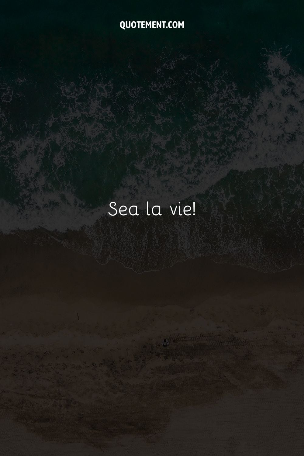 ¡Sea la vie!