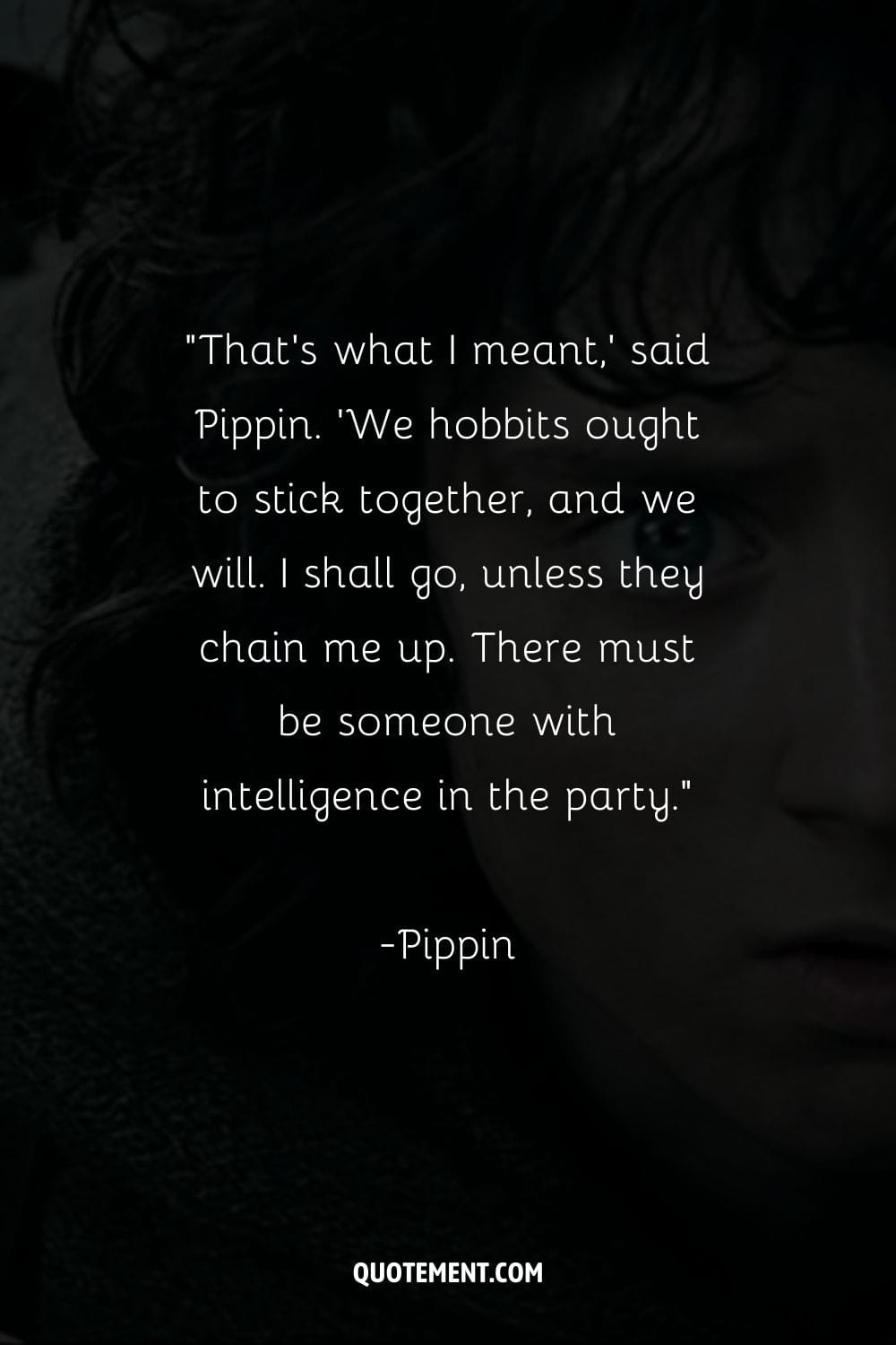That's what I meant,' said Pippin.