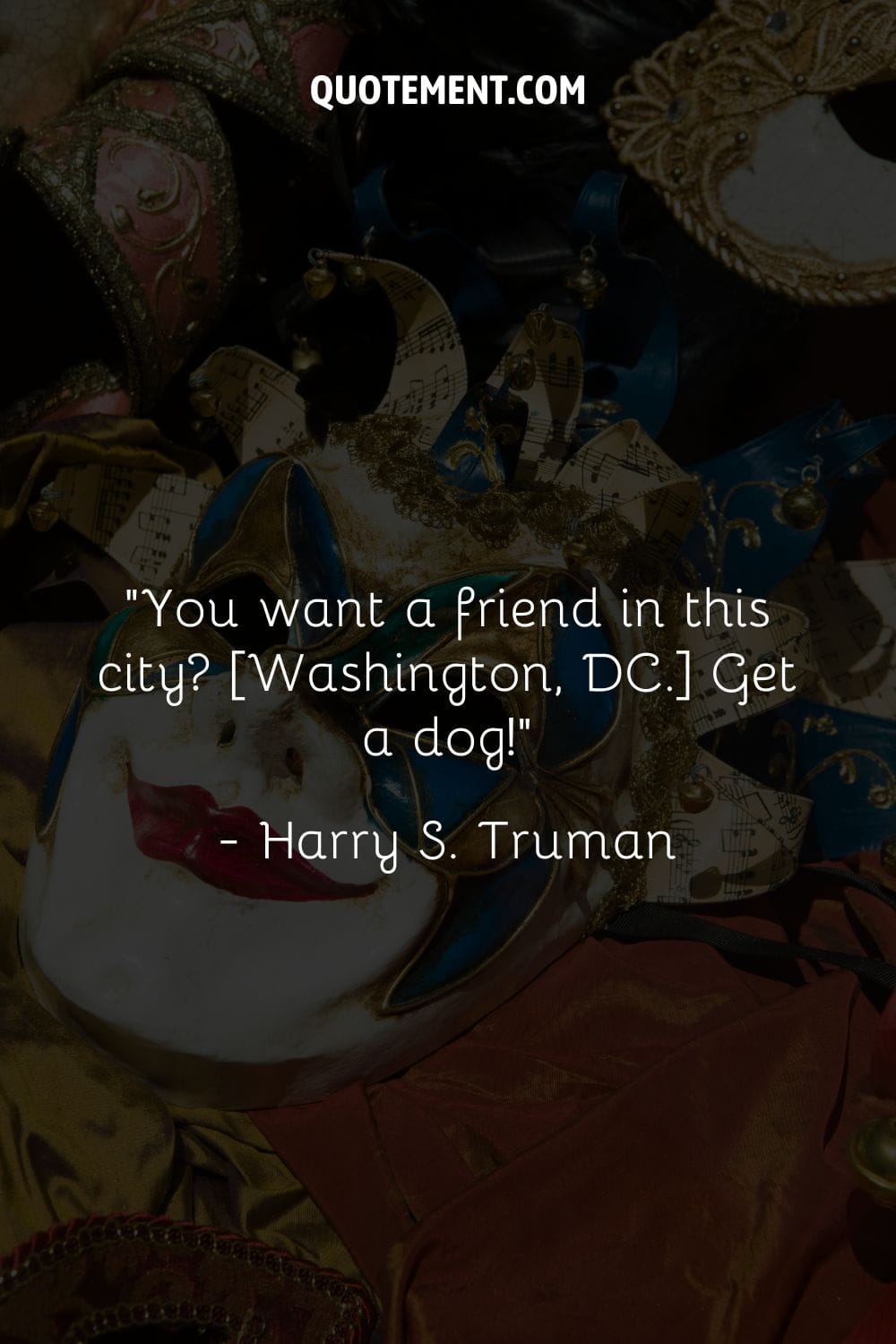 You want a friend in this city [Washington, DC.] Get a dog
