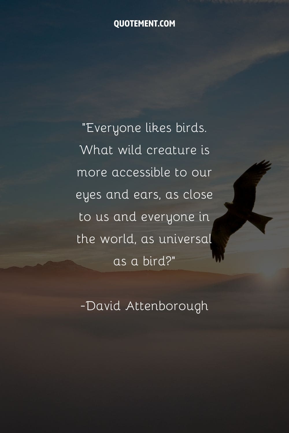 eagle soaring over untouched wilderness representing top bird quote
