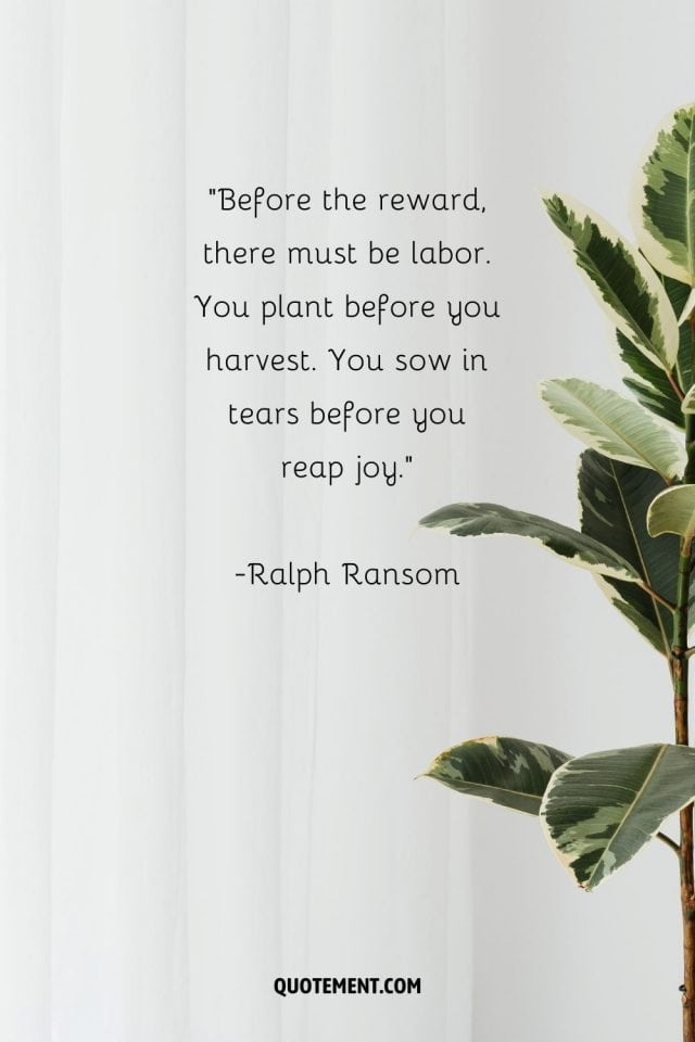 130 Inspiring Plant Quotes Celebrating The Beauty Of Flora