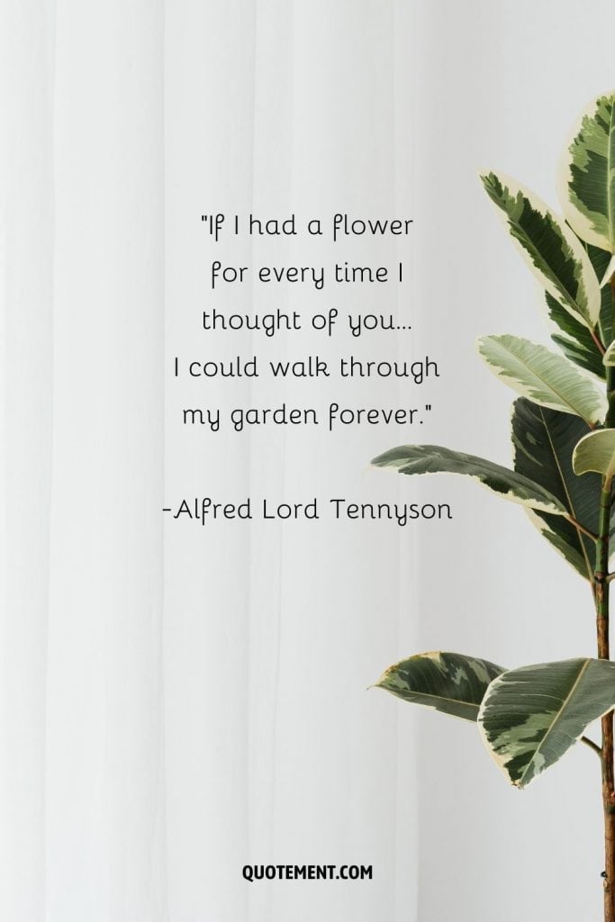 130 Inspiring Plant Quotes Celebrating The Beauty Of Flora