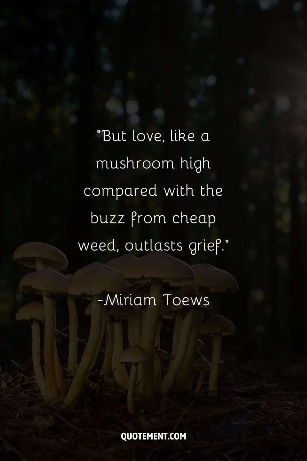 mushrooms forming a mystical gathering in the forest representing top mushroom quote