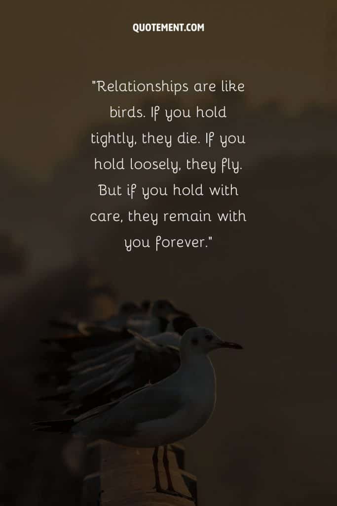 130 Inspiring Bird Quotes To Embrace The Wings Of Wisdom