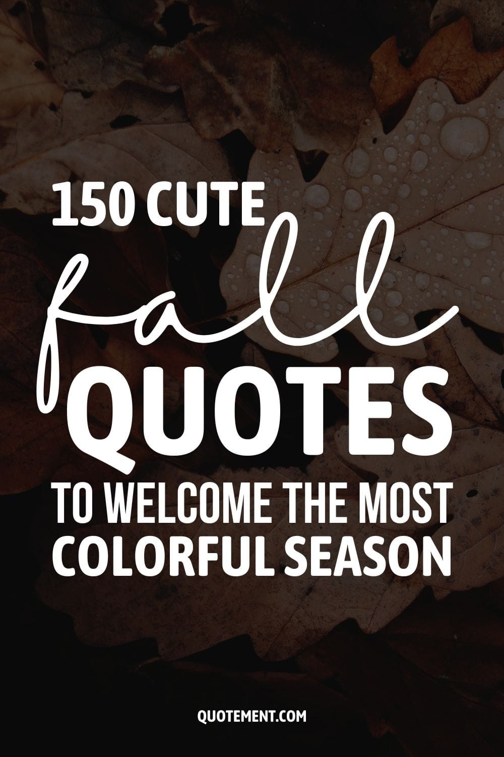 150 Cute Fall Quotes To Welcome The Most Colorful Season