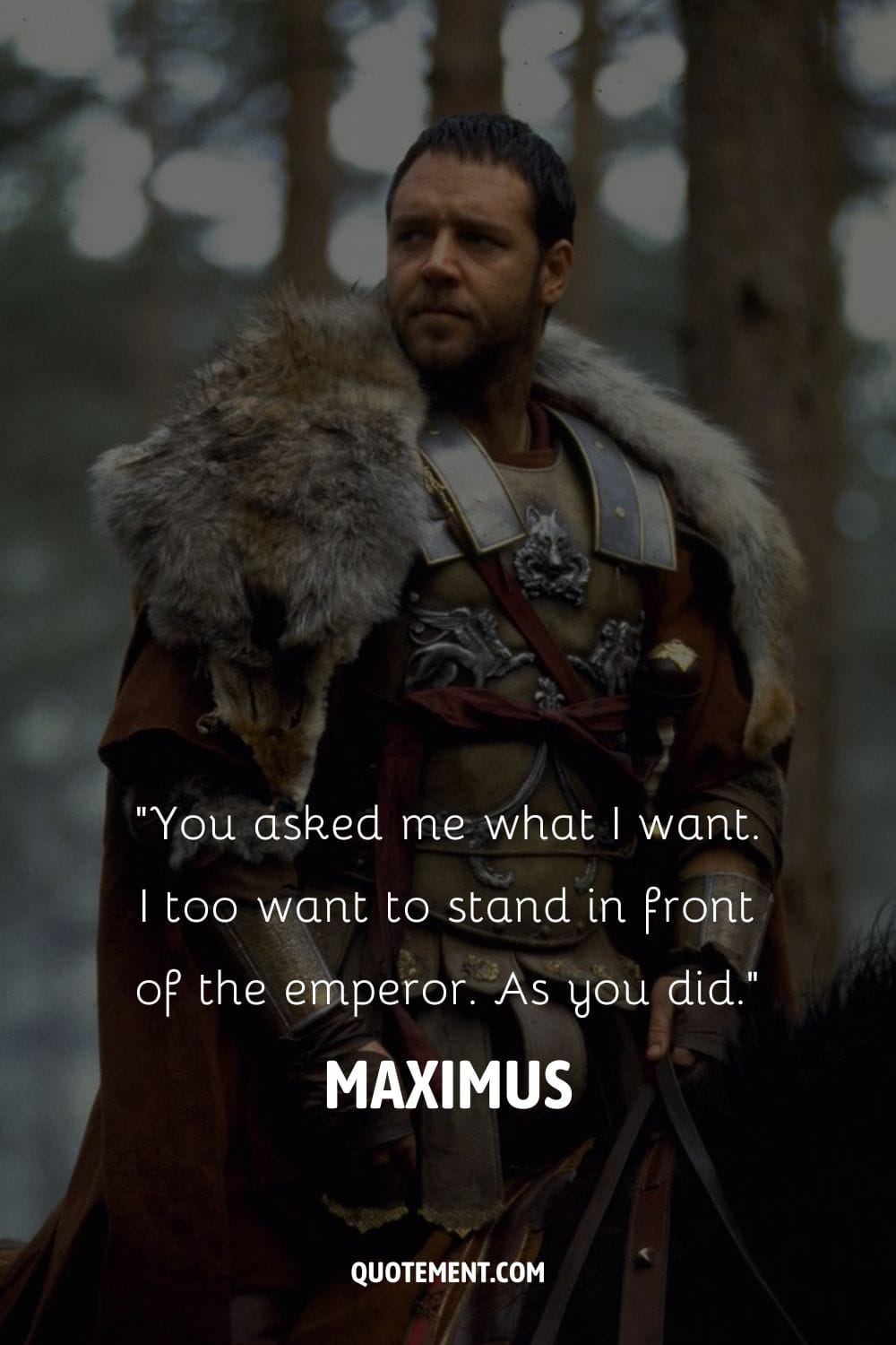 Fearless warrior Maximus, a cinematic legend.