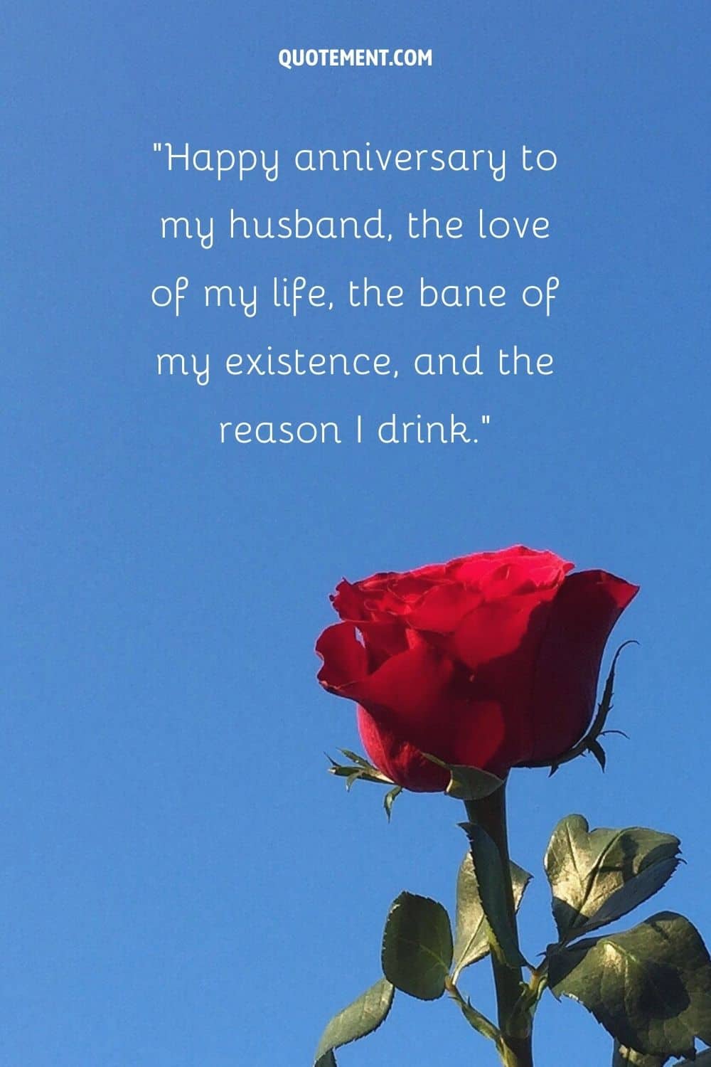Happy anniversary to my husband, the love of my life, the bane of my existence, and the reason I drink.