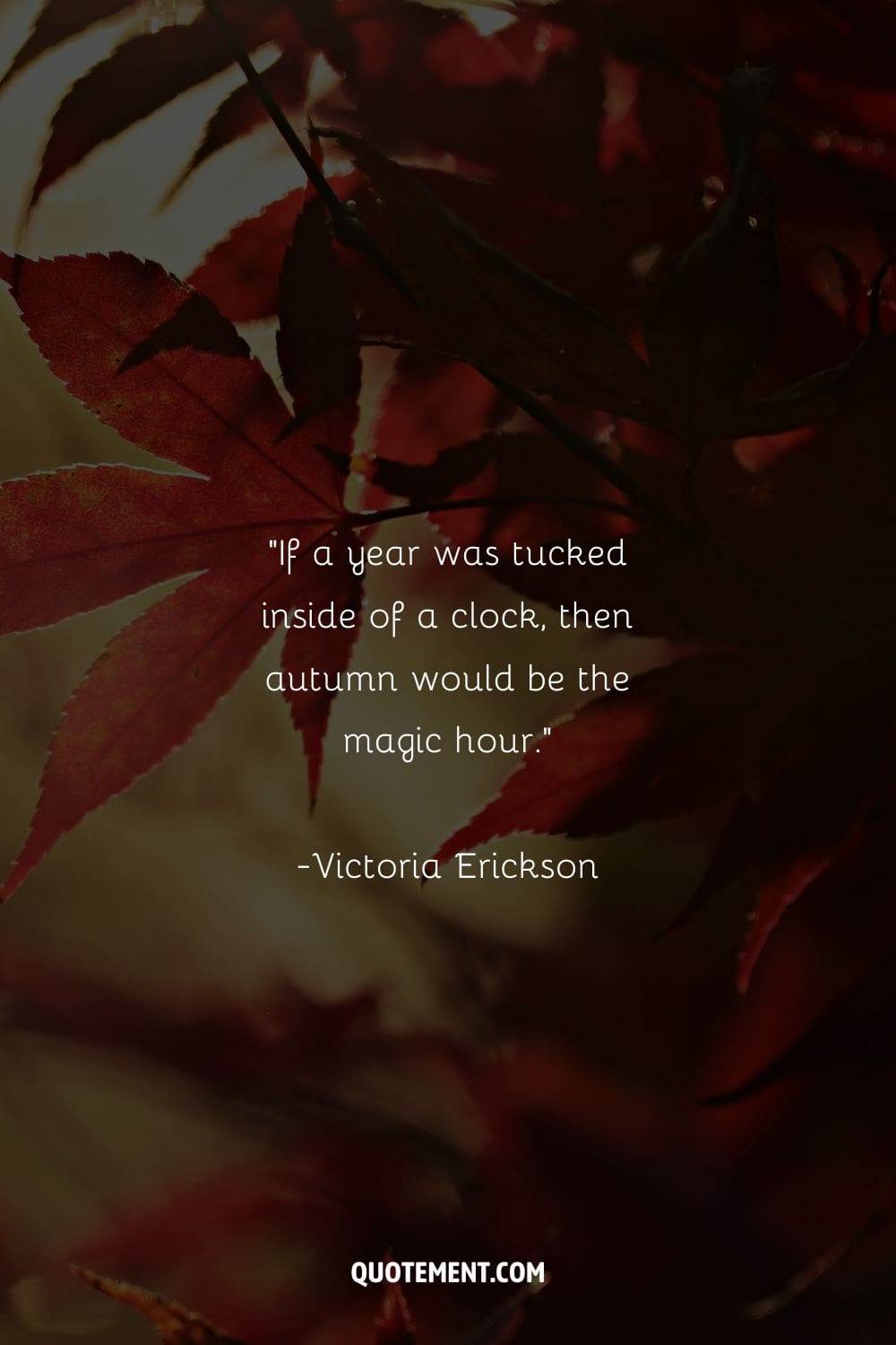 Image of yellow leaves representing the cutest fall quote.