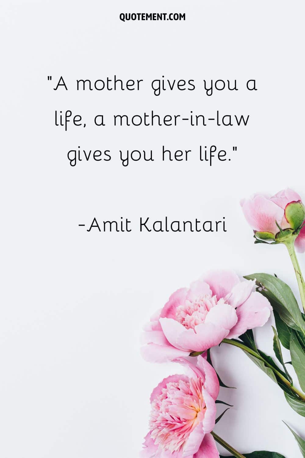 One of the best mother in law quotes.
