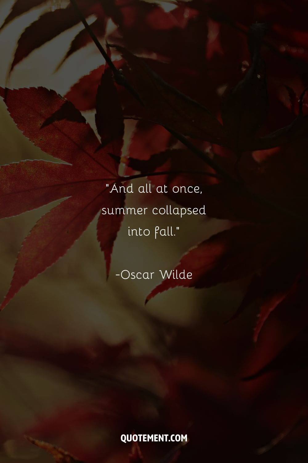 Vibrant yellow leaves representing the best cute fall quote.