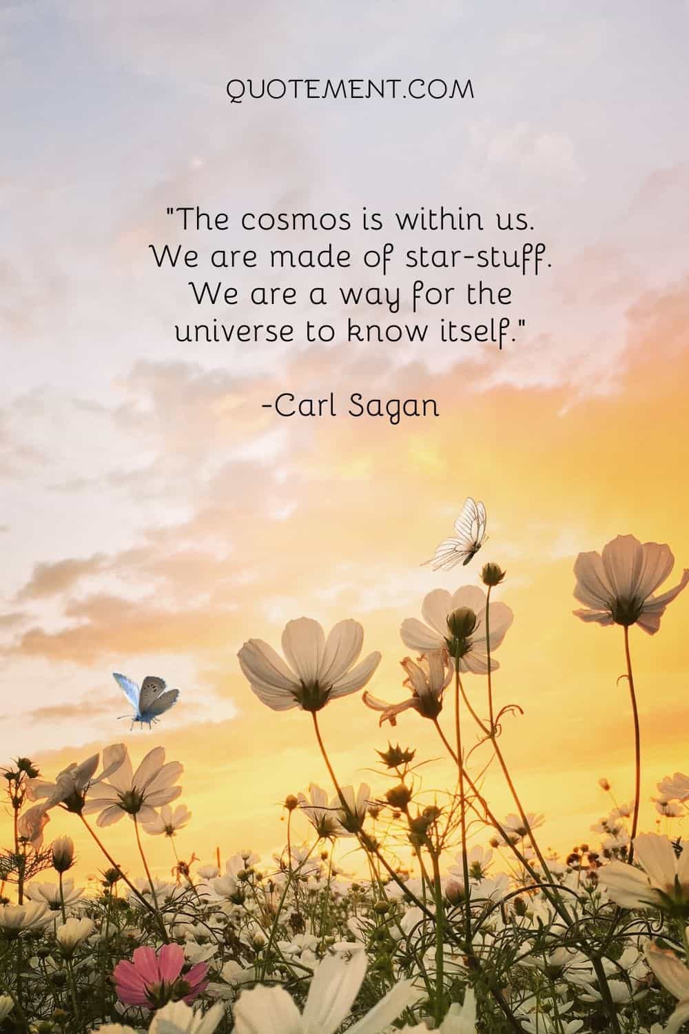 We are a way for the universe to know itself.