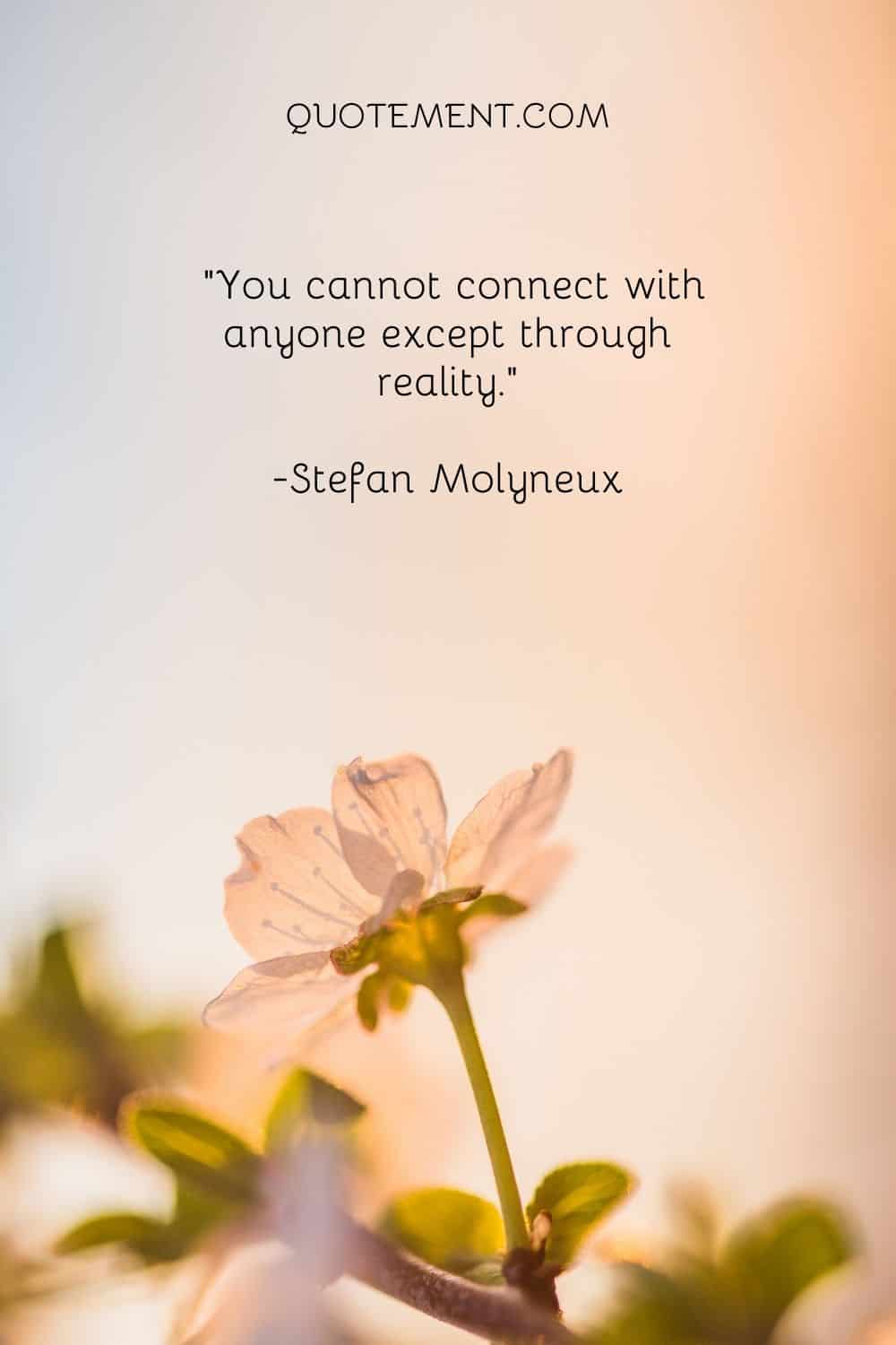 You cannot connect with anyone except through reality.