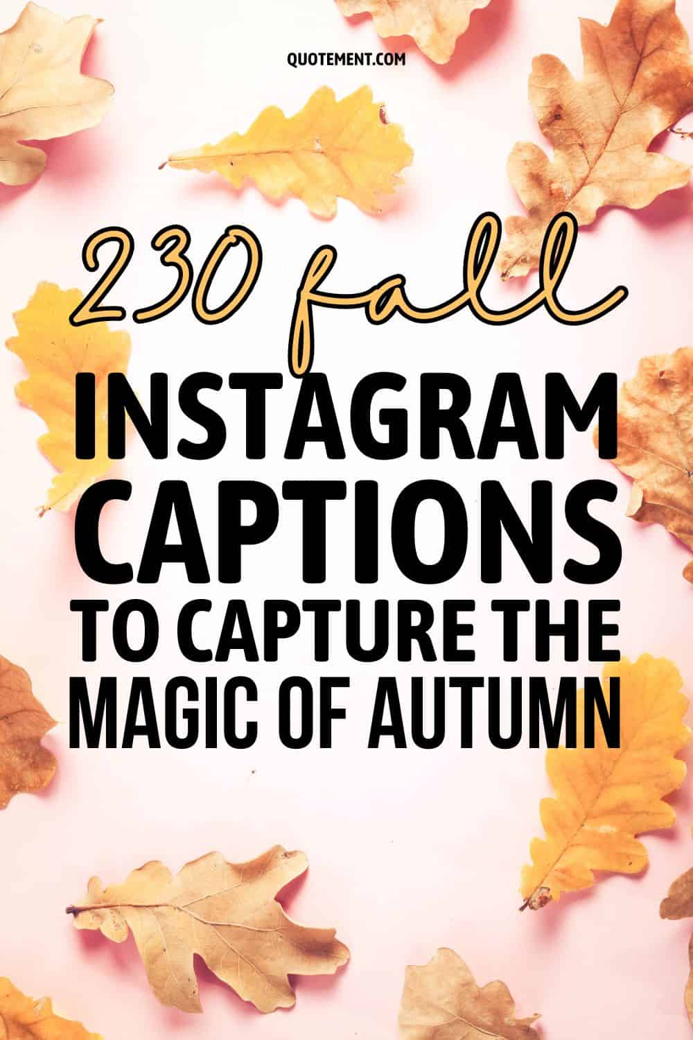 230 Fall Instagram Captions To Capture The Magic Of Autumn 