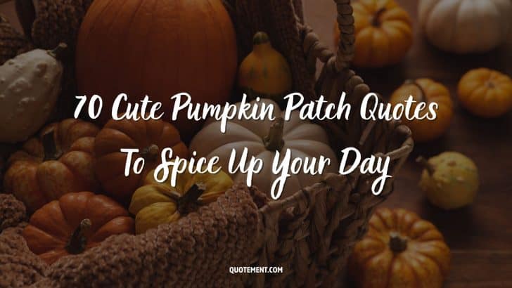 70 Cute Pumpkin Patch Quotes To Spice Up Your Day