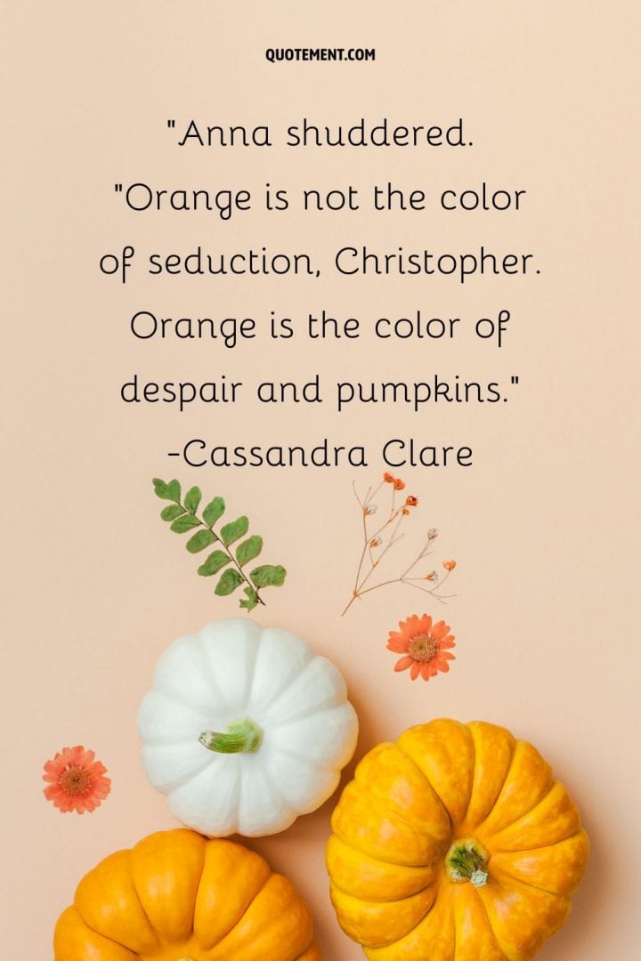 70-cute-pumpkin-patch-quotes-to-spice-up-your-day