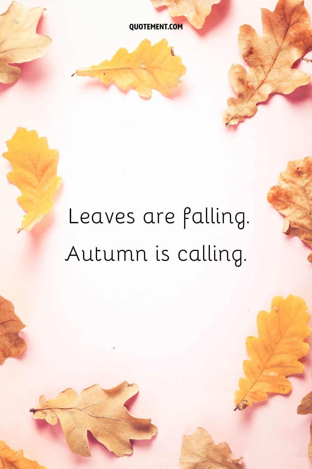 Beautiful autumn leaves representing fall Instagram caption.