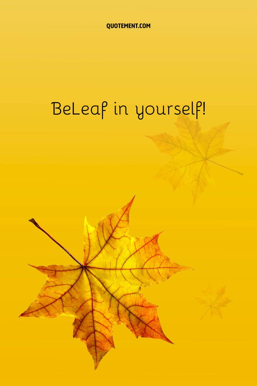 Bright yellow leaf
