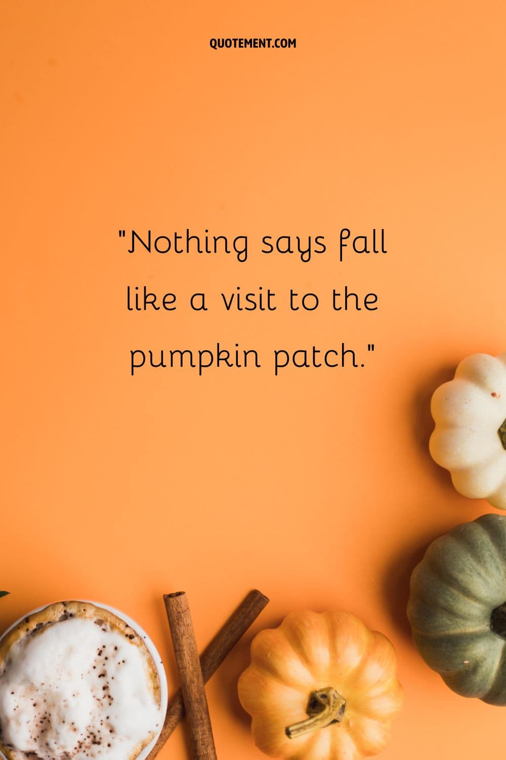Cinnamon and pumpkins, a perfect autumn synergy.
