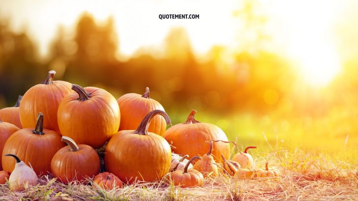 230 Fall Instagram Captions To Capture The Magic Of Autumn
