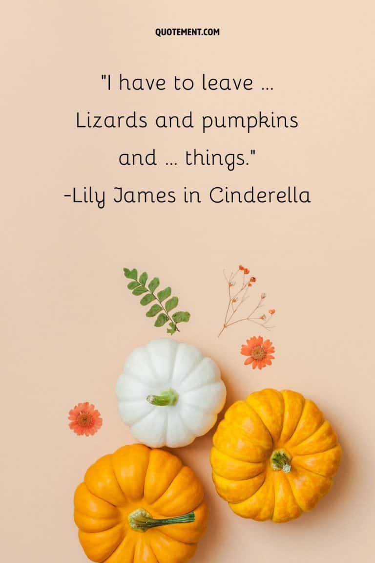 70 Cute Pumpkin Patch Quotes To Spice Up Your Day 70-cute-pumpkin-patch-quotes-to-spice-up-your-day