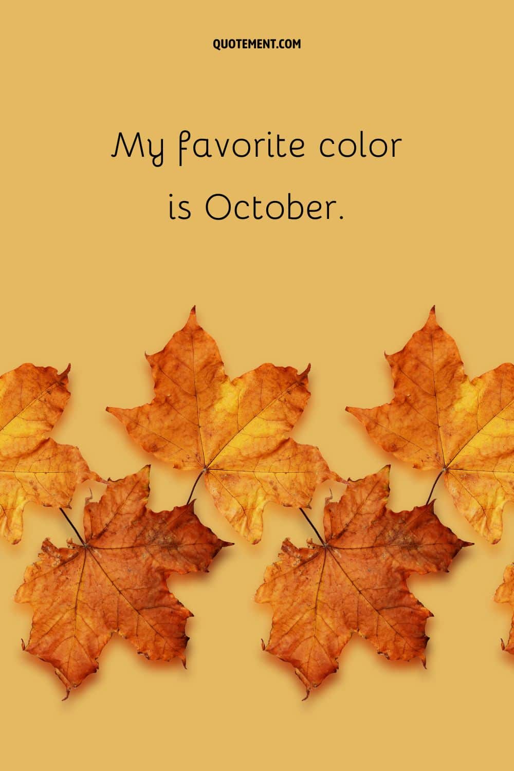 Golden autumn leaves representing the best fall Instagram caption.
