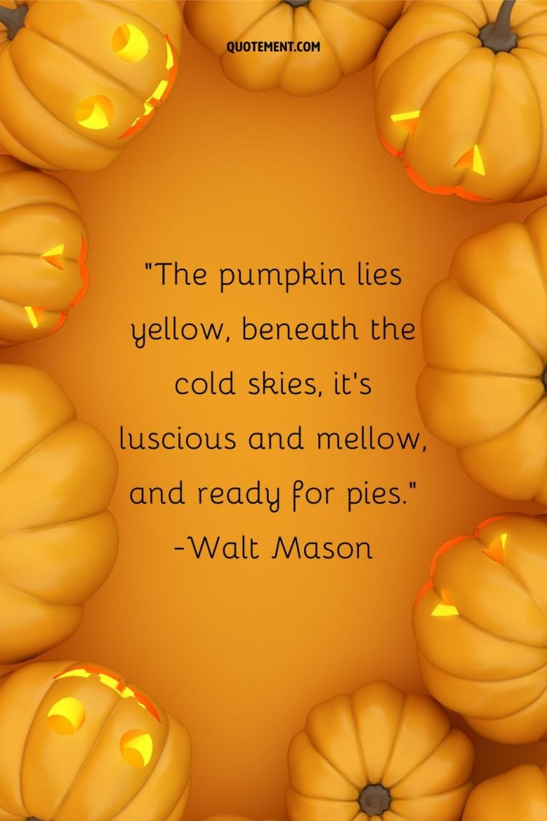 70 Cute Pumpkin Patch Quotes To Spice Up Your Day