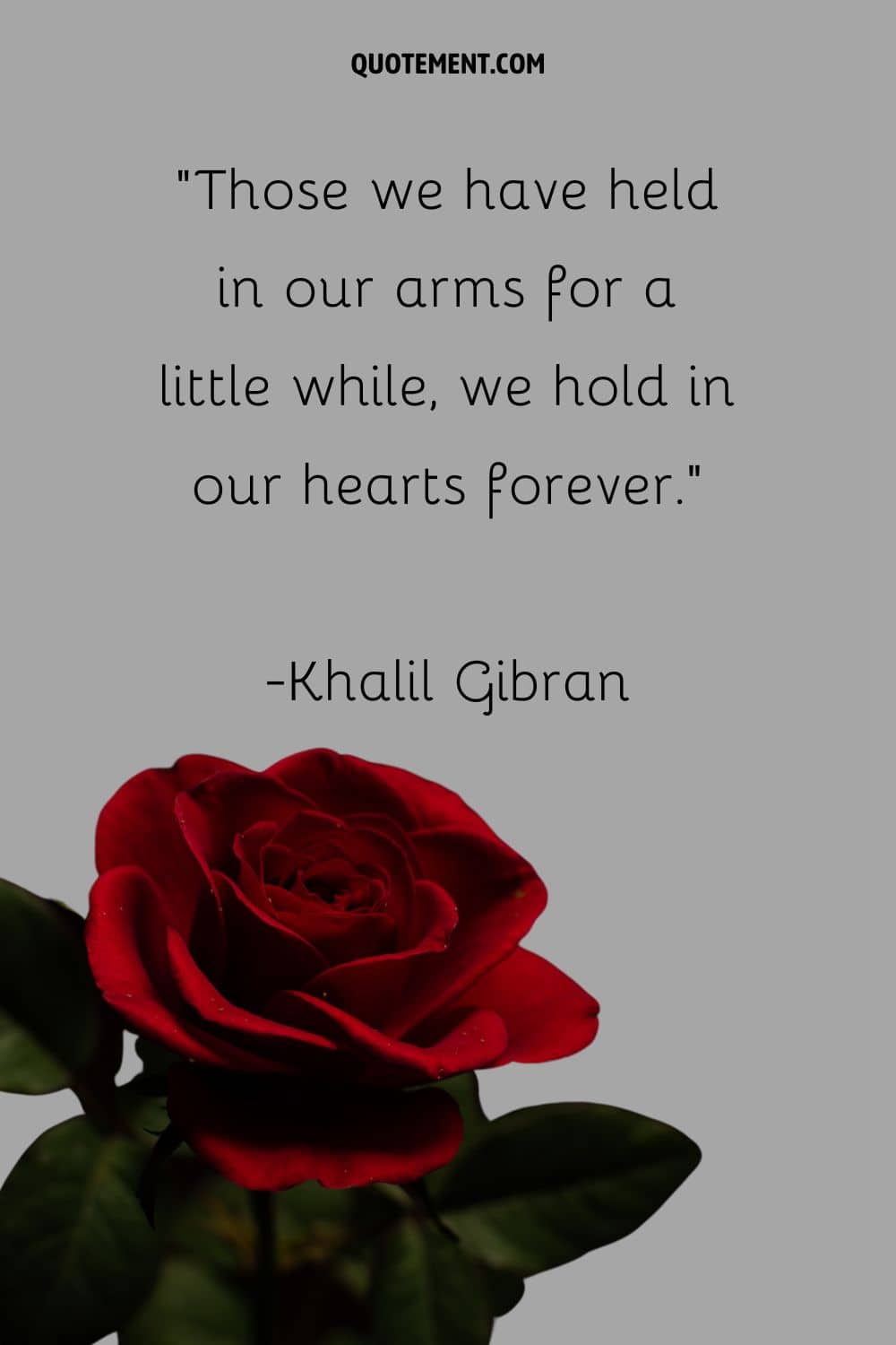 Image of a rose representing a quote about loved ones in heaven.