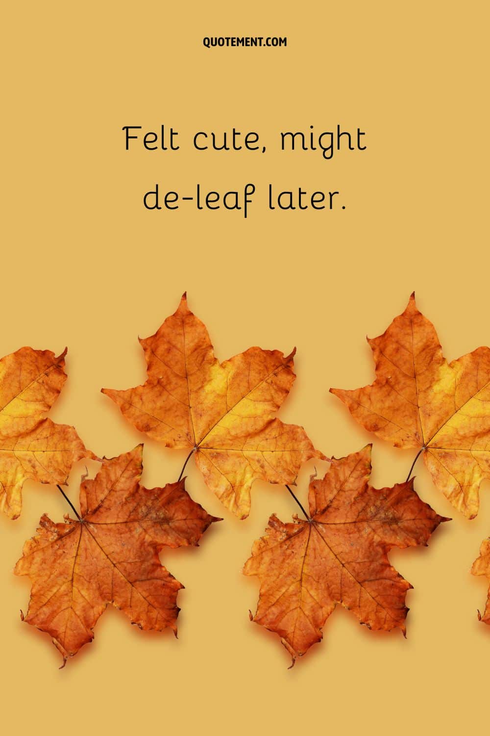 Image of fallen leaves representing the best fall Instagram caption.
