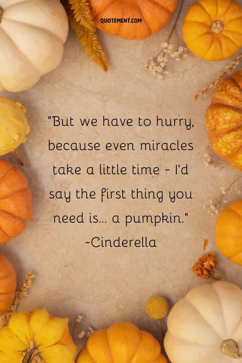 70 Cute Pumpkin Patch Quotes To Spice Up Your Day