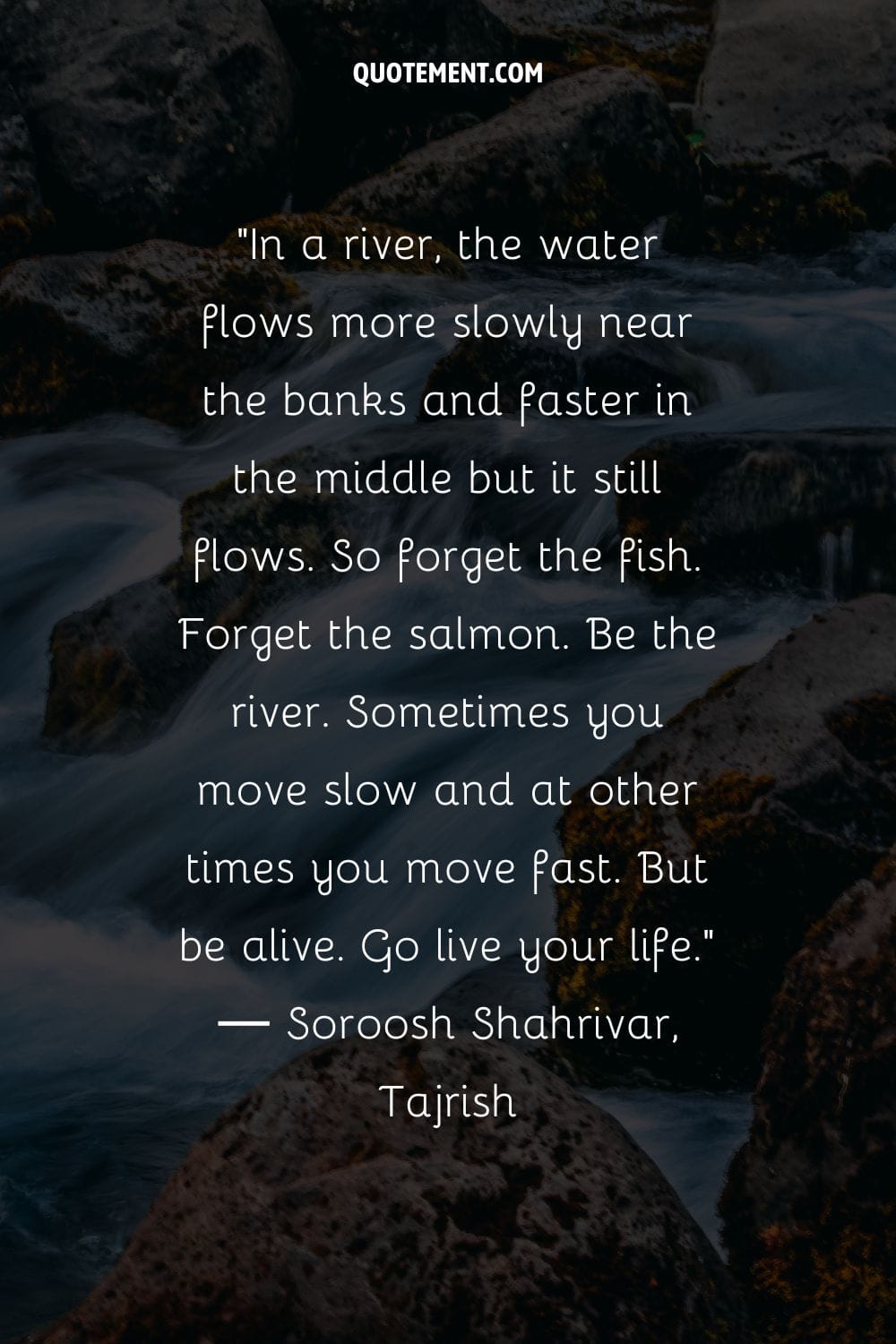 Nature's symphony by the riverbank representing river quote on motivation