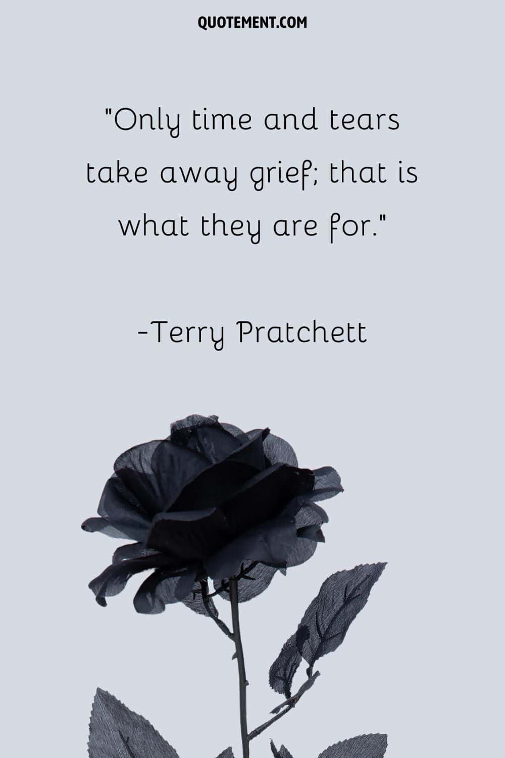Only time and tears take away grief; that is what they are for