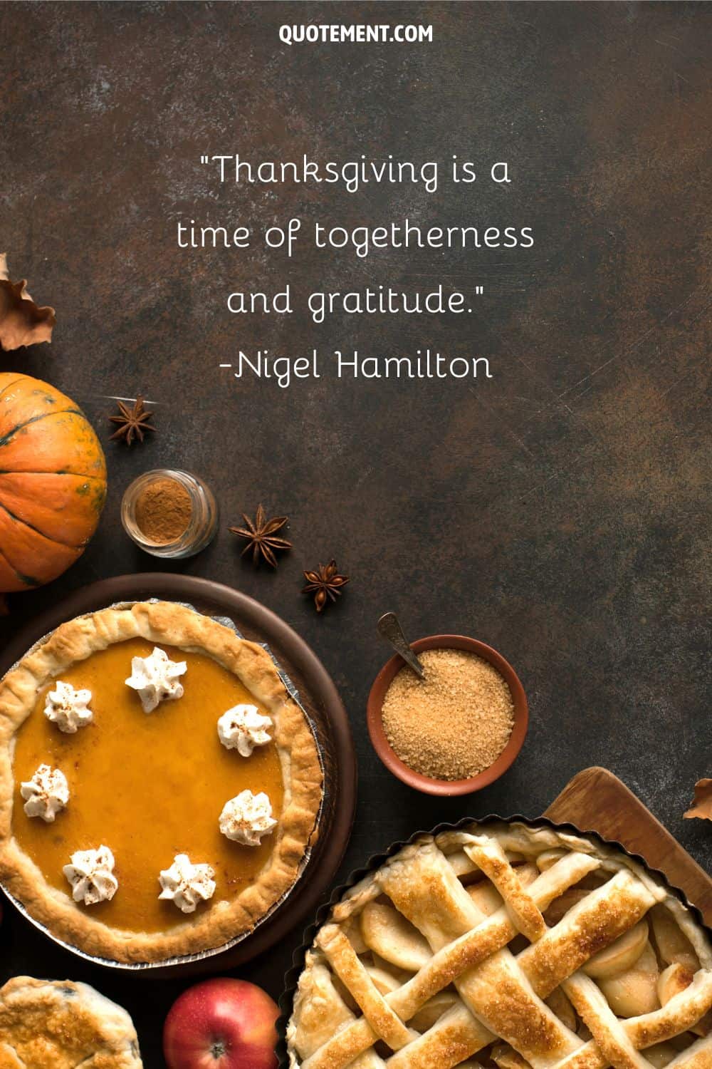 apple and pumpkin pies surrounded by spices representing a short quote about Thanksgiving