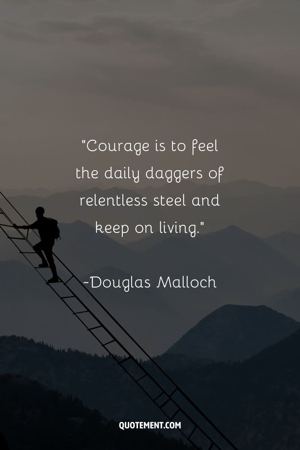 hiker tackling a daunting rope stairway high in the mountains
