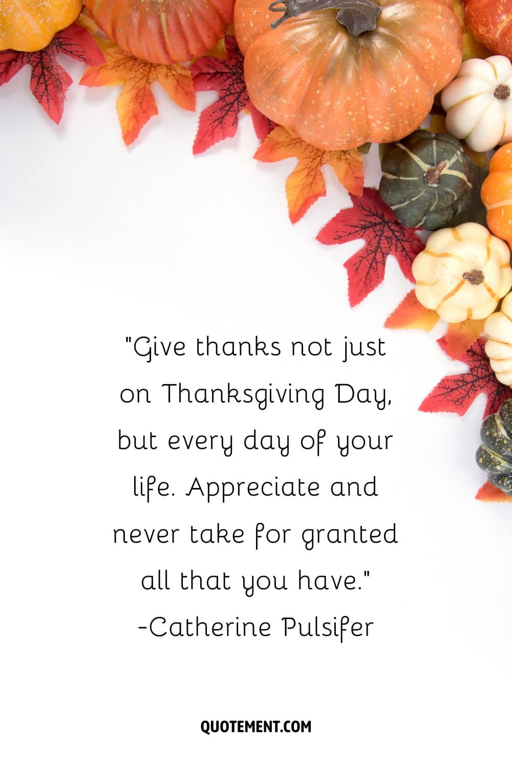 pumpkins nestled among leaves representing an inspiring Thanksgiving day quote