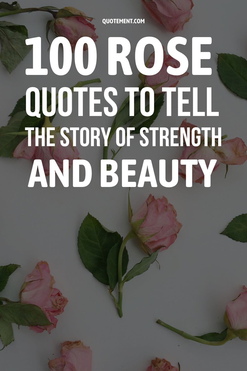 100 Rose Quotes To Tell The Story Of Strength And Beauty