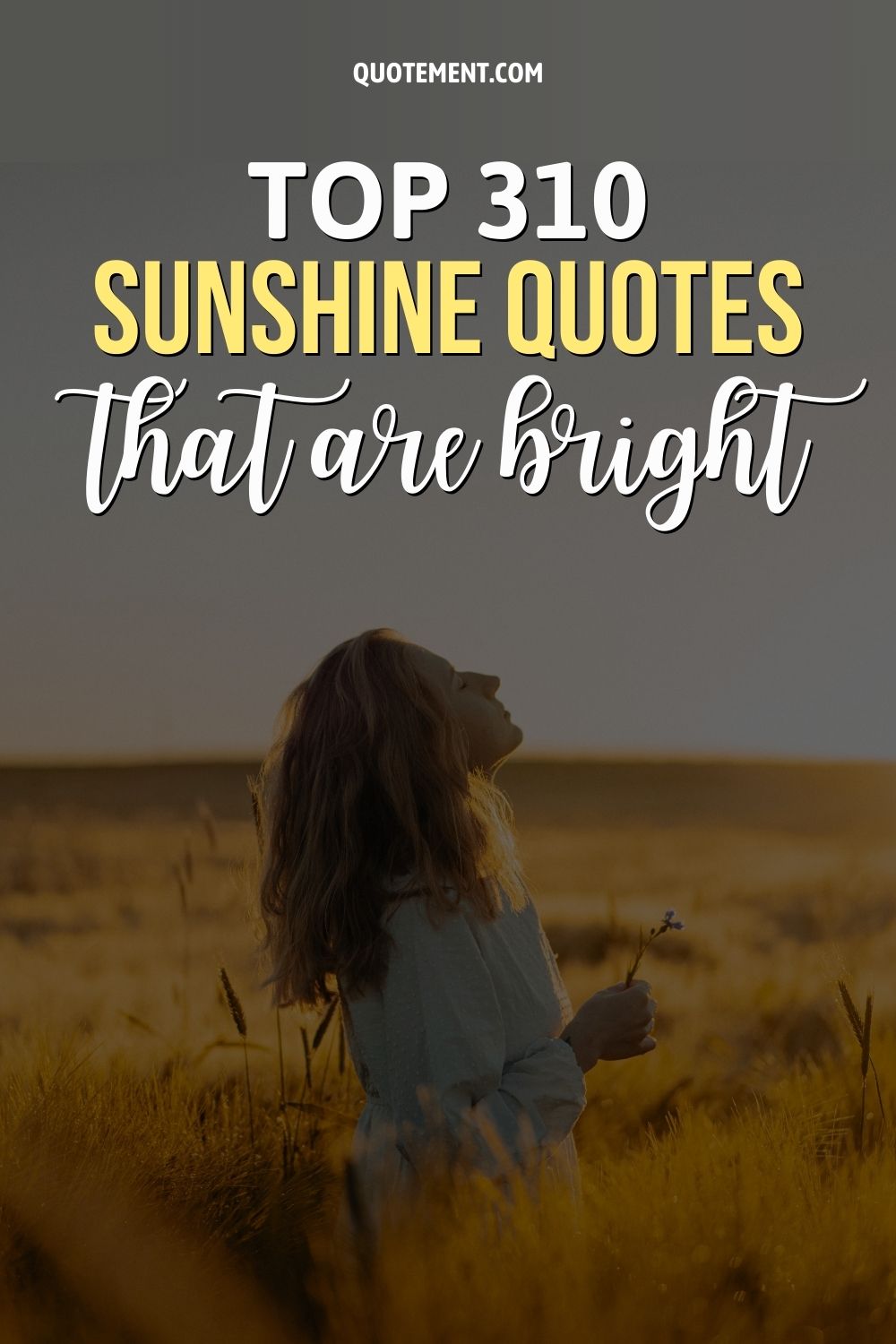 310 Sunshine Quotes To Help You Radiate Happiness